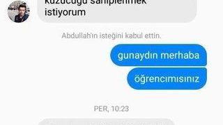 Eskişehir’de Kedi Vahşeti