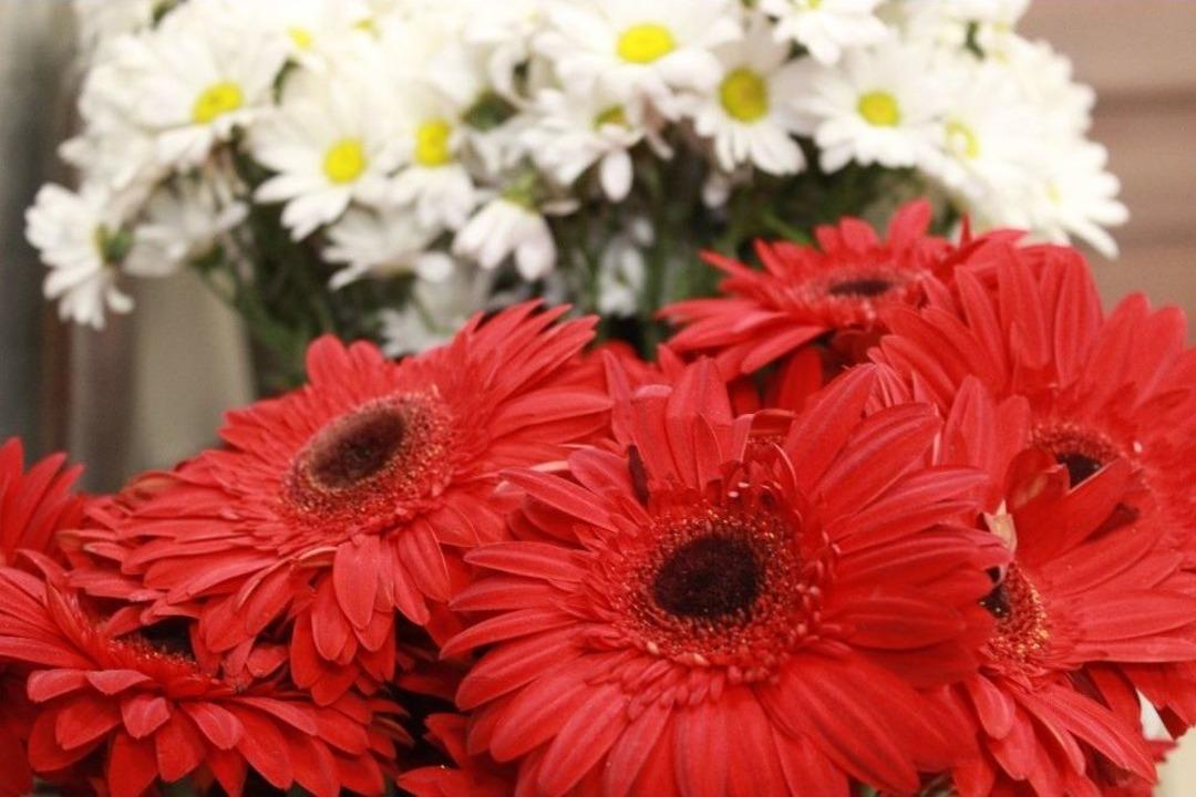 &Ccedil;i&ccedil;ek&ccedil;iler Sevgililer G&uuml;n&uuml;&rsquo;ne Hazır