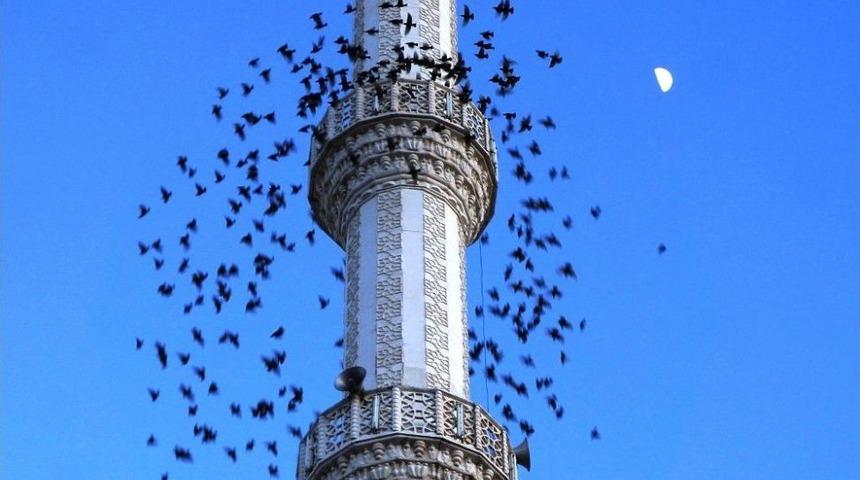 Sığırcık Kuşlarından Minare Etrafında G&ouml;rsel Ş&ouml;len