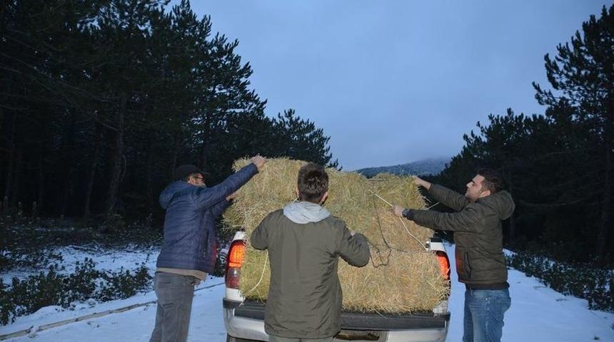 Sandıklı Akdağ&rsquo;da Yaban Hayvanları Unutulmadı