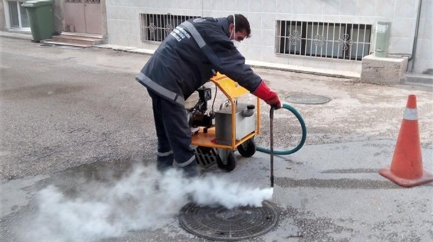 Haşereyle M&uuml;cadeleye Kışın Da Devam