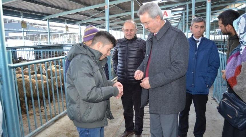 Denizli&rsquo;de 44 Gen&ccedil; &Ccedil;ift&ccedil;iye Bin 628 Koyun Dağıtıldı