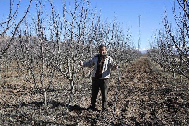 Elmalı’nın Gap Projesi