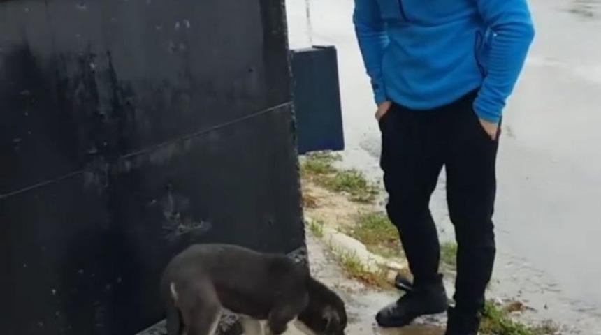 A&ccedil; Kalan Sokak K&ouml;peklerini Kavurma İle Doyurdu Battaniye İle Isıttılar