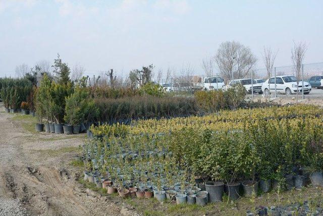 Yunusemre’de Bahar Hazırlıkları Sürüyor