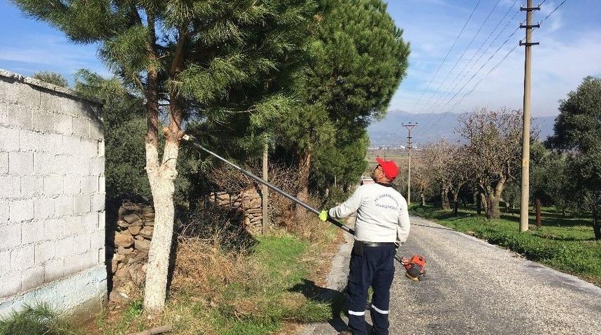 Efeler&rsquo;de Ağa&ccedil; Budama Seferberliği