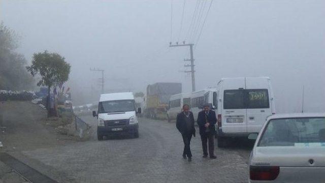 Kulp&rsquo;ta Yoğun Sis Hayatı Olumsuz Etkiledi 1