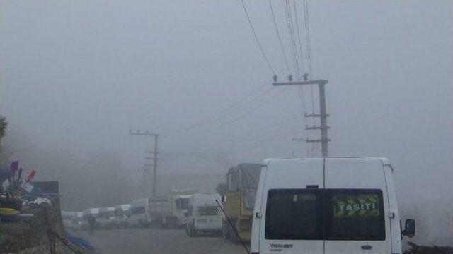 Kulp&rsquo;ta Yoğun Sis Hayatı Olumsuz Etkiledi 2