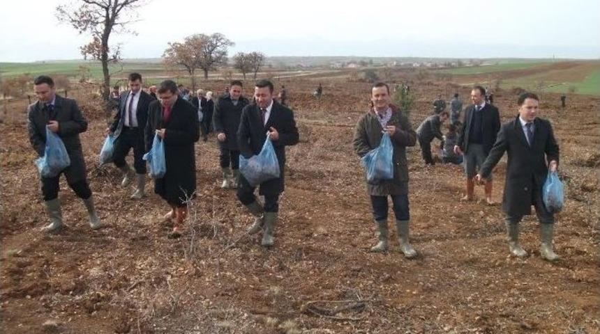 Tohumlar Daha Yeşil Bir &Ouml;rt&uuml; İ&ccedil;in Toprağa Serpildi