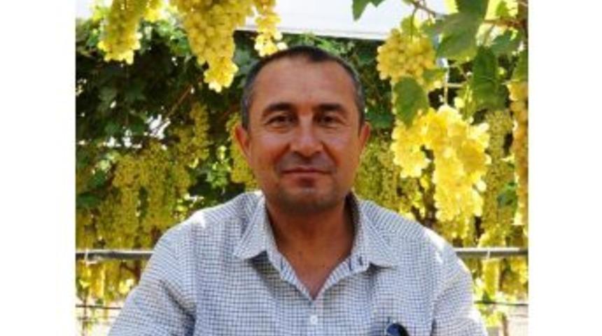 Fiyattan dertli &uuml;z&uuml;m &uuml;reticisini ihracat sevindirdi