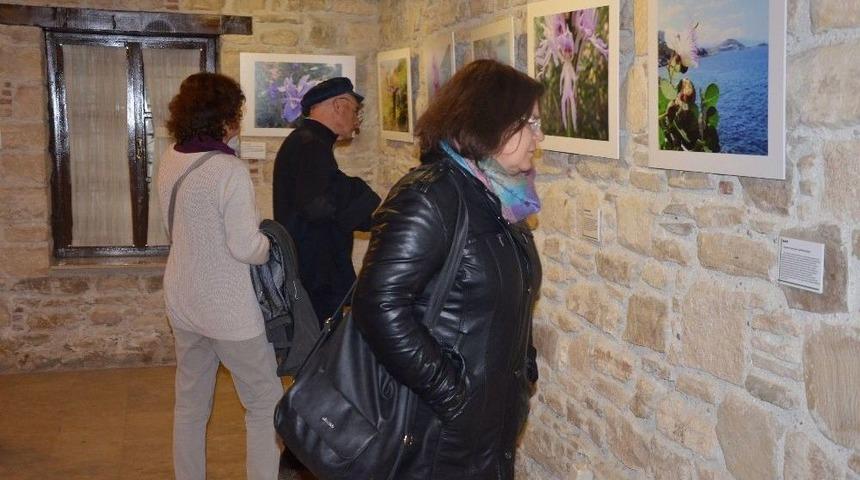 Kuşadası&rsquo;nın &Ouml;nemli Bitkileri Tanıtıldı