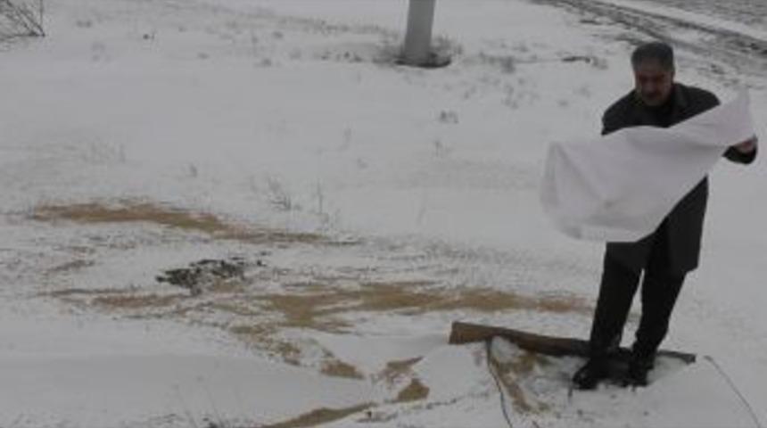 Kulu&rsquo;da A&ccedil; Kalan Hayvanlar İ&ccedil;in Doğaya Yem Bırakıldı