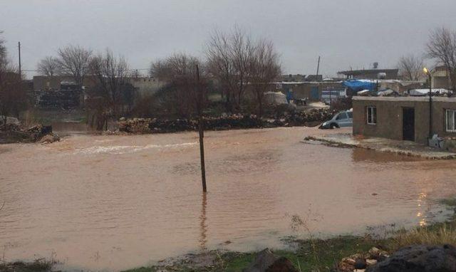 Viranşehir’de Aşırı Yağış Sele Neden Oldu