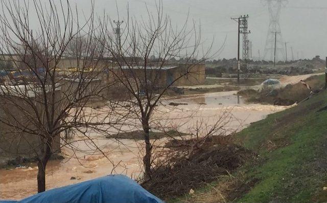 Viranşehir’de Aşırı Yağış Sele Neden Oldu