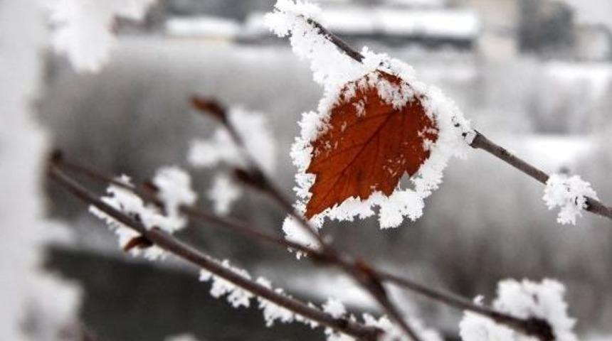 Doğu'da sibirya soğukları: ardahan -20