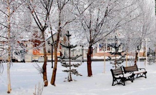 Doğu'da sibirya soğukları: ardahan -20