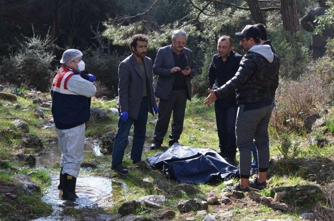11 G&uuml;n Sonra Cansız Bedeni Bulundu