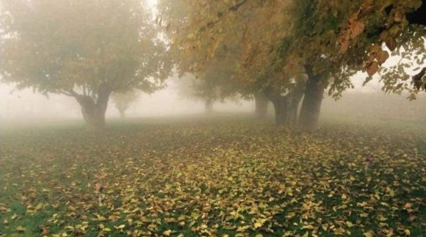 &lsquo;sis&rsquo; Tut İl&ccedil;esinde Kartpostallık G&ouml;r&uuml;nt&uuml; Ortaya &Ccedil;ıkardı