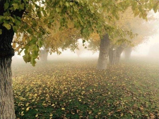 &lsquo;sis&rsquo; Tut İl&ccedil;esinde Kartpostallık G&ouml;r&uuml;nt&uuml; Ortaya &Ccedil;ıkardı 1