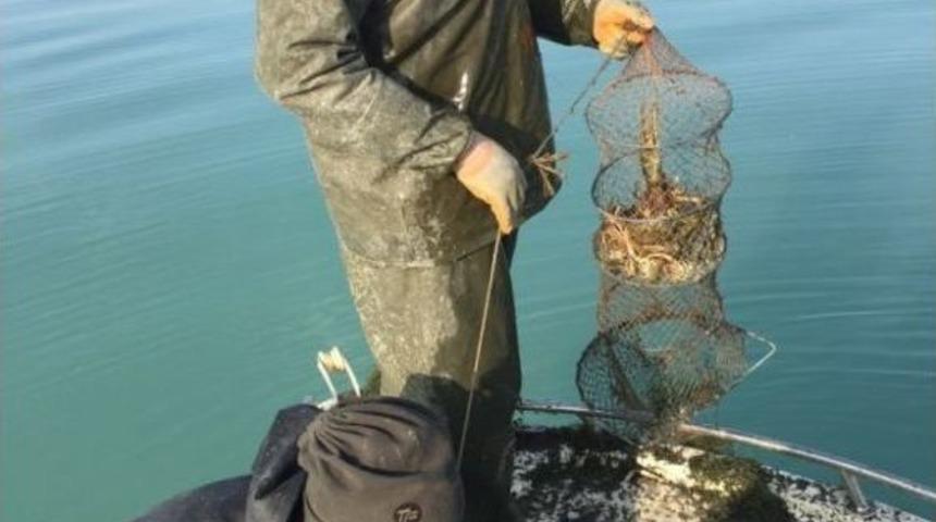 Eğirdir G&ouml;l&uuml;ne Ka&ccedil;ak D&ouml;k&uuml;len 400 Kerevit Sepetine El Konuldu