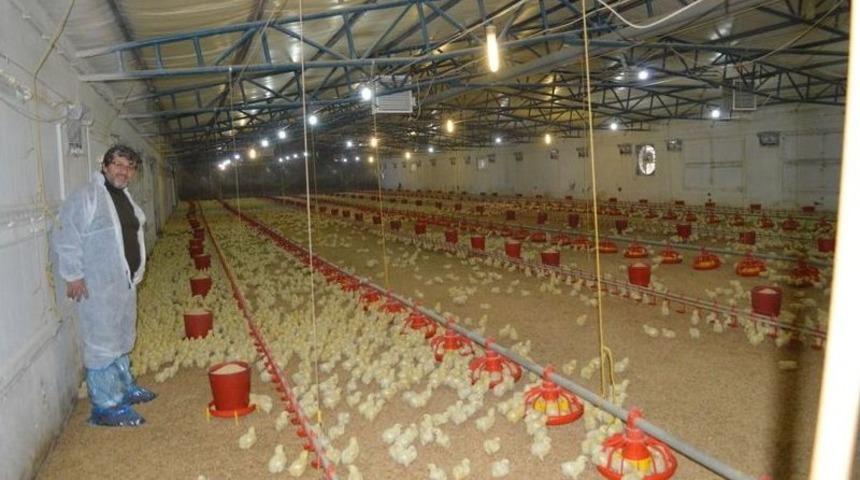 Kanatlı Sekt&ouml;r&uuml; &Ccedil;ıkış Yolu Arıyor