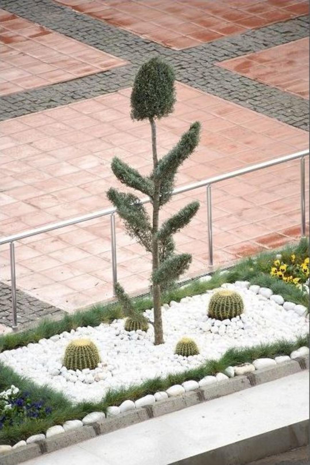 İkiz Durak, Aliağalıların Hizmetine Girdi