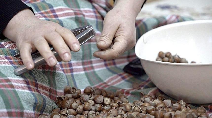 Ordu&rsquo;dan Afrin&rsquo;deki Mehmet&ccedil;iğe Kavrulmuş Fındık