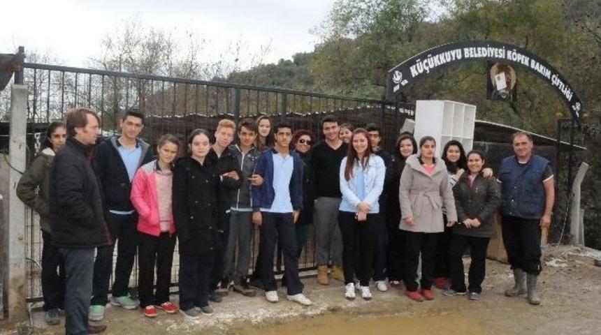 Lise &Ouml;ğrencileri K&ouml;pek Barınağını Ziyaret Etti