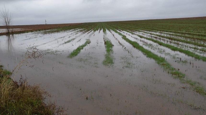Yağmur Duasına &Ccedil;ıkılan İl&ccedil;ede Tarım Arazileri Sular Altında Kaldı