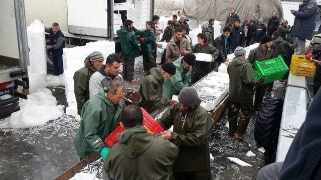 Balıkçılık Zor Zanaat Ama Onlar İçin Bir 