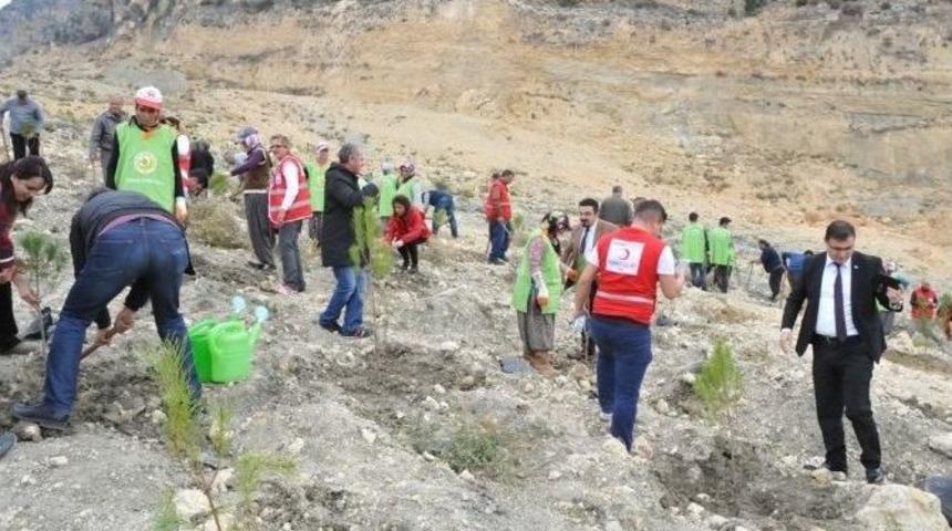 &rsquo;bir Kan Bir Fidan&rsquo;