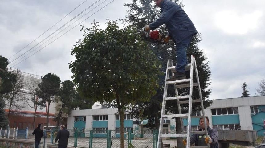 D&uuml;zce&rsquo;de Ağa&ccedil;ların Kışlık Bakımı Yapılıyor
