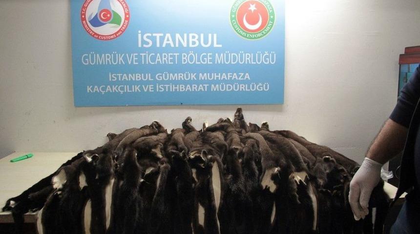 Atat&uuml;rk Havalimanı&rsquo;nda &lsquo;porsuk K&uuml;rk&uuml;&rsquo; Operasyonu