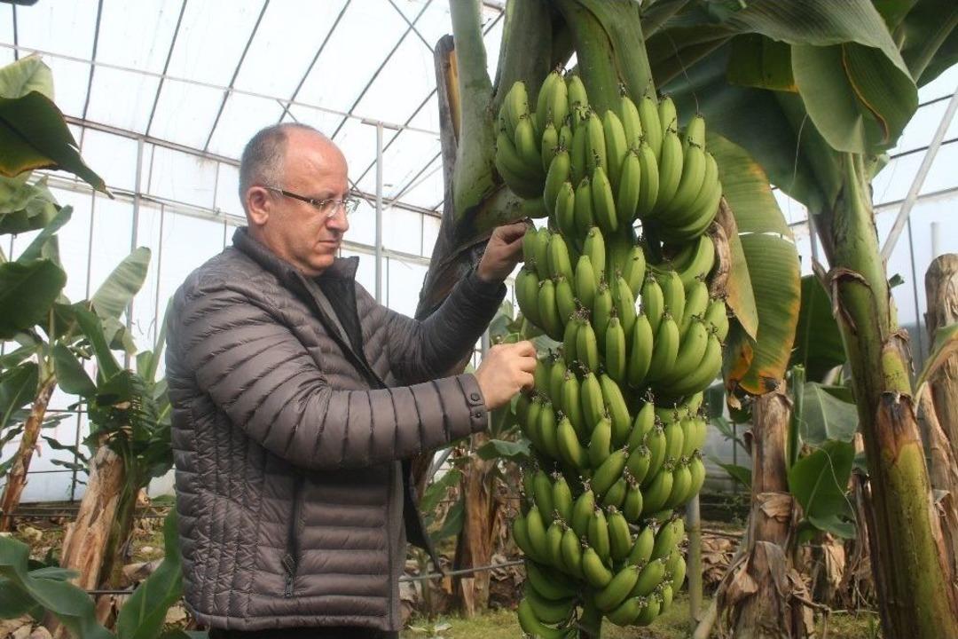 Serada Muz Bitti Fiyatlar Y&uuml;kseldi