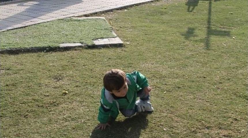 Tek Eli &Uuml;zerinde Emekleyen Bebek G&ouml;renleri Şaşırtıyor