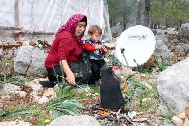 Sarıkeçili yörükleri kışlaklarına döndü