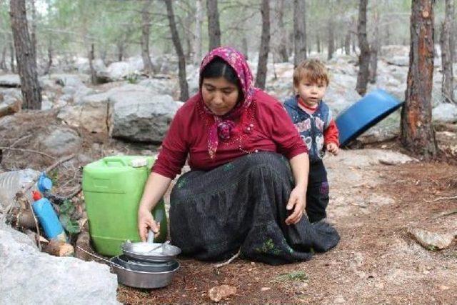 Sarıkeçili yörükleri kışlaklarına döndü