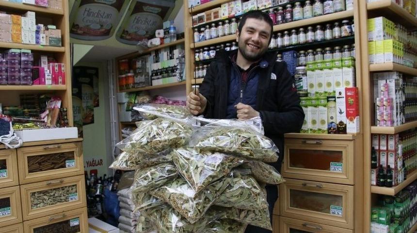 Kışın Vazgeçilmezi Ihlamur 70 Tl’den Satılıyor