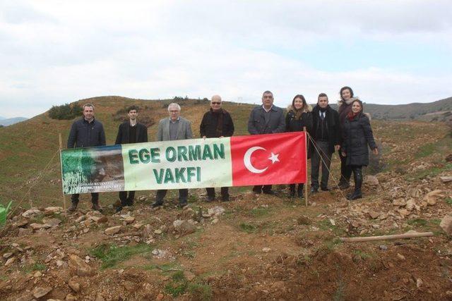 Çalışanları Ve Müşterileri İçin 500 Fidan Diktiler