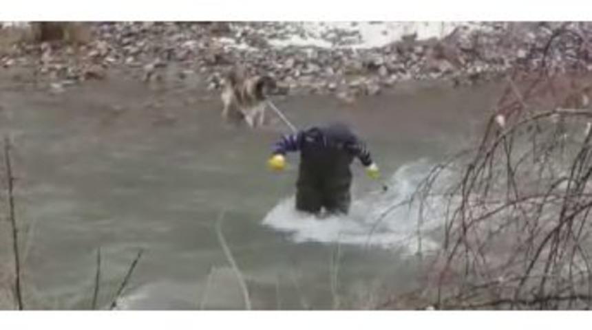 &Ccedil;ayda Mahsur Kalan K&ouml;pek Kurtarıldı