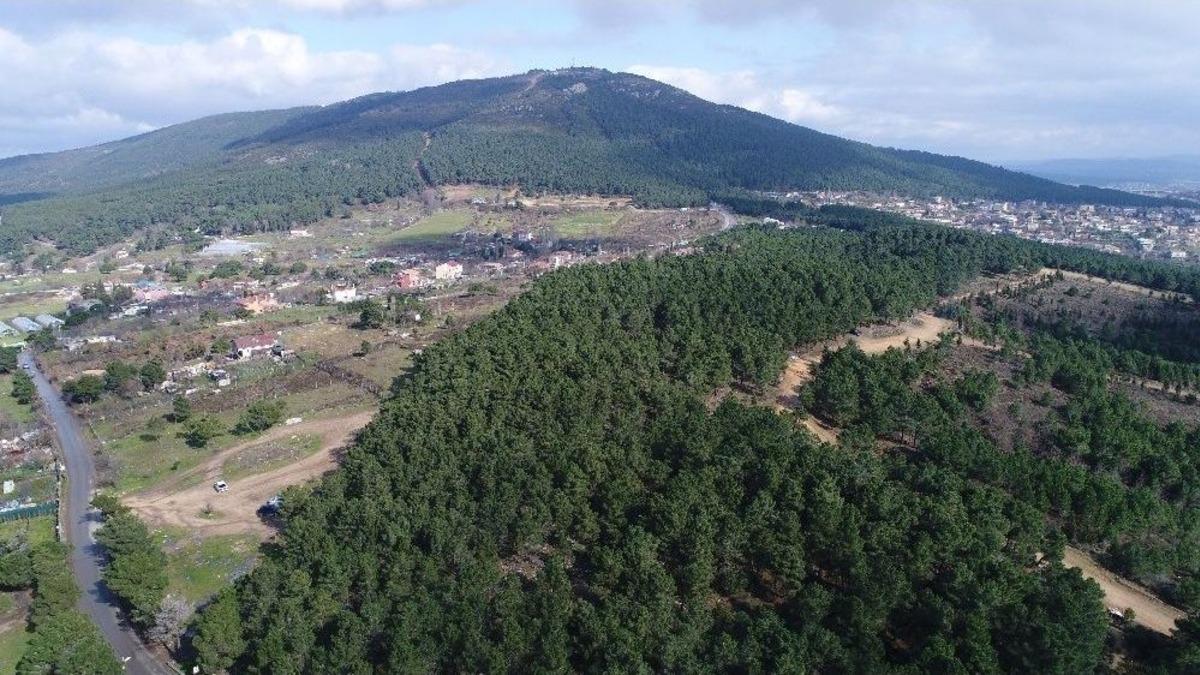 (&ouml;zel Haber) Kartal&rsquo;da Ormanlık Alanda &Ccedil;evre Katliamı Havadan G&ouml;r&uuml;nt&uuml;lendi