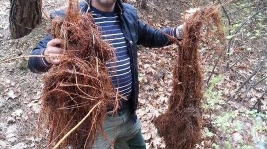 Su G&ouml;zleri Temizlendi