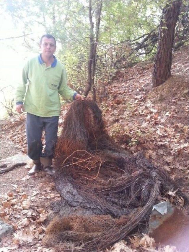 Su Gözleri Temizlendi 2