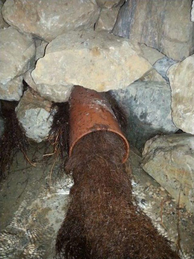 Su Gözleri Temizlendi 3