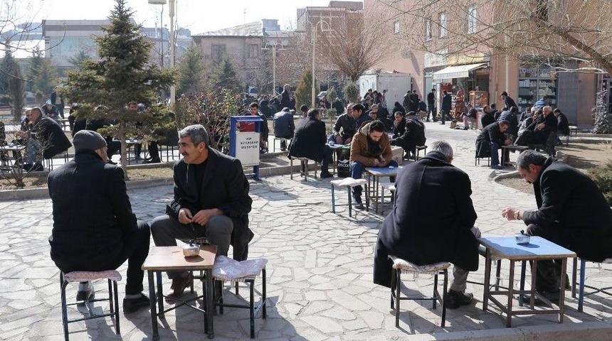 Şubat Ayında Bahar Havası