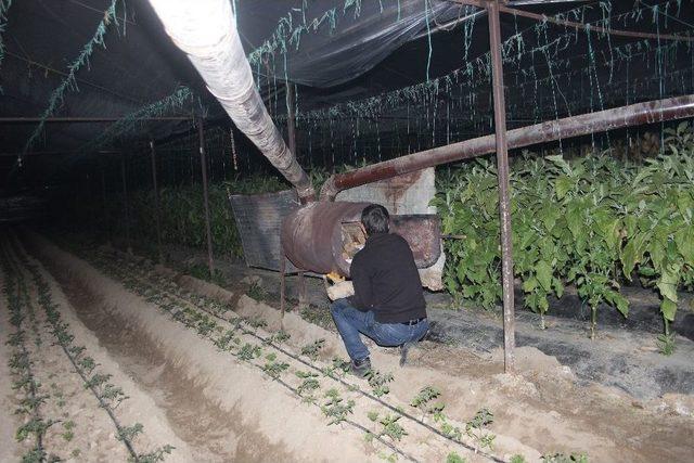 Don Alarmı Çiftçileri Harekete Geçirdi