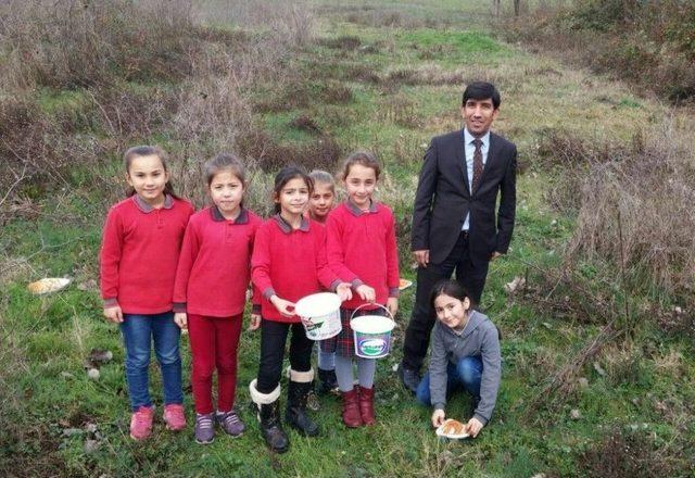 İlkokul &Ouml;ğrencilerinden &Ouml;rnek Proje 1