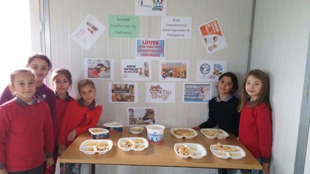 İlkokul &Ouml;ğrencilerinden &Ouml;rnek Proje 2