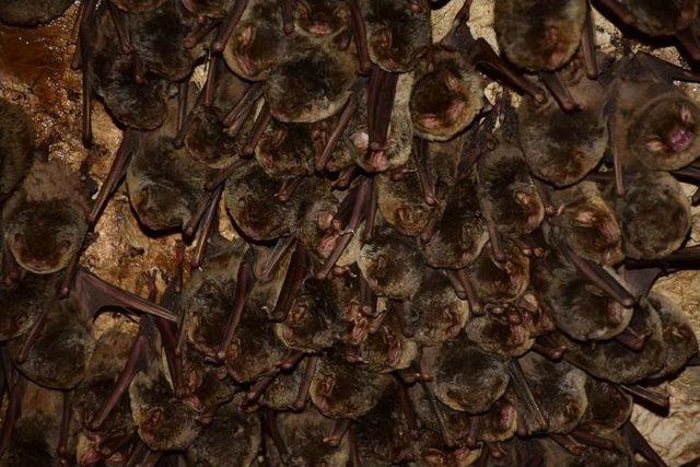 3,5 Kilometrelik Mağaraya Girdiler 1