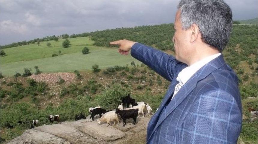 Yurttaş, Temiz Gediz İ&ccedil;in Yapılacakları Sıraladı